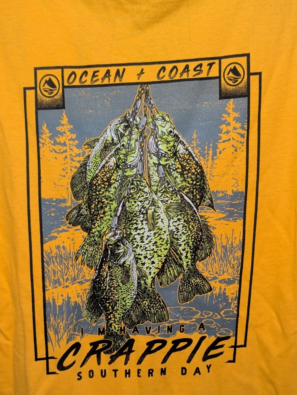 Ocean + Coast "I'm Having a Crappie Southern Day" Fishing T-shirt Boys Size L